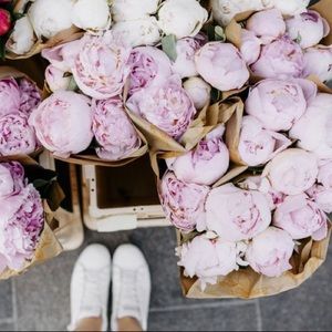 Meet your Posher, Katherine